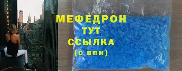 индика Калининец