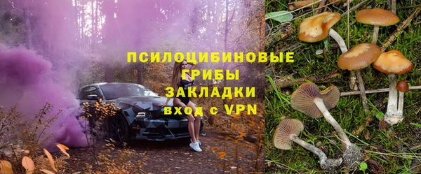 прущий лед Лагань