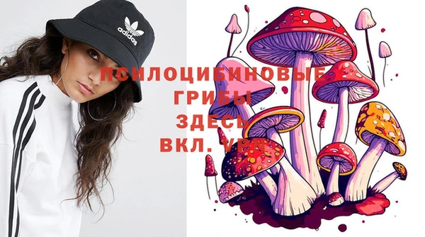гашишное масло Ладушкин