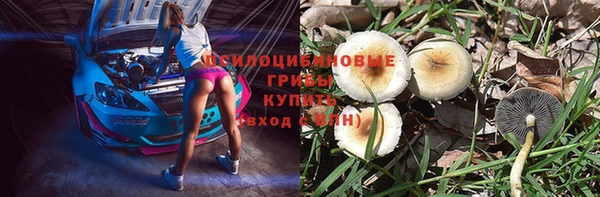 прущий лед Лагань
