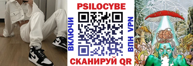MEGA ТОР Моршанск Галлюциногенные грибы MAGIC MUSHROOMS