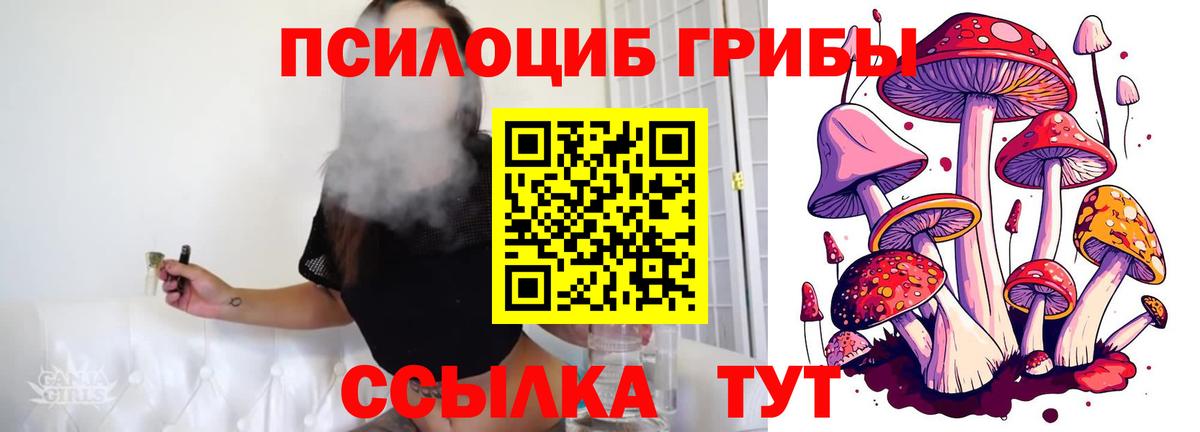 Моршанск  Псилоцибиновые грибы Psilocybe  Галлюциногенные грибы MAGIC MUSHROOMS  Вход с VPN 